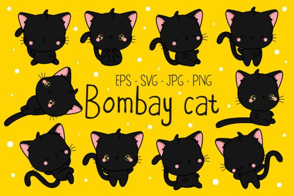 Charming Bombay Cat Illustrations for Creative Projects