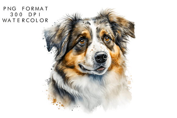 Watercolor Australian Shepherd Dog: Art for Creative Projects