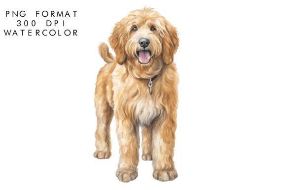 Watercolor Goldendoodle Dog Clipart: A Creative Asset